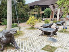 -广东惠东海龟国家级自然保护区