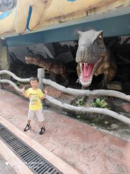 点击看大图 -宝燕乐园(闵行旗舰店)