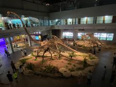 -自贡恐龙博物馆