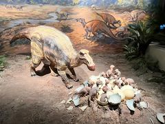 -自贡恐龙博物馆