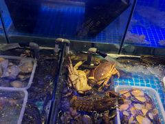 -捞围鲜·港式打边炉(海阳路店)