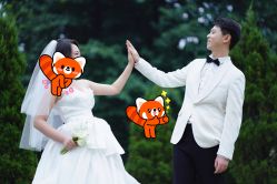 -金夫人婚纱摄影(总店)