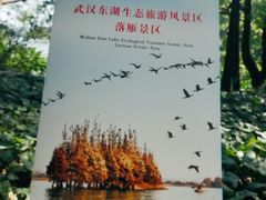 -东湖落雁景区