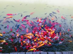 -泰安地下龙宫景区