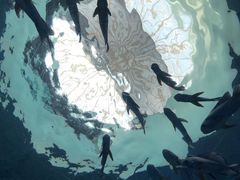 -临沂极地海洋王国