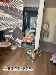 -诗安国际母婴会所 月子会所中心(市政府店)