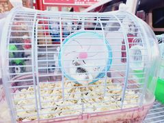 -华声天桥民俗文化园