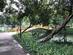 -晓港公园