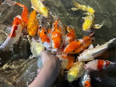 -海合安青岛极地海洋公园