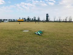 -春花秋色城市公园