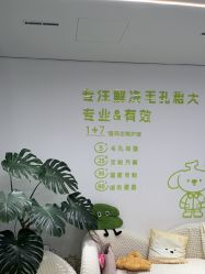 -凡碧诗毛孔清洁收细