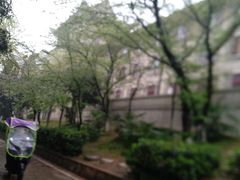 -武汉大学-樱园