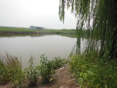 -白洋淀景区