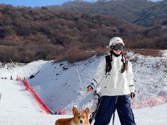 -太子岭滑雪场