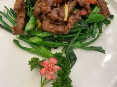 -新成海港大酒楼(康华路店)