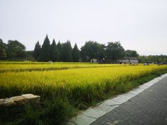 -北坞公园