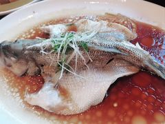 -古南都·老广东酒楼(龙江店)