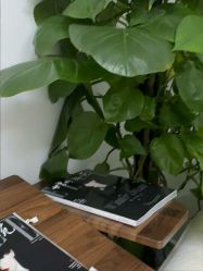 -天津伊美尔医疗整形美容专科医院