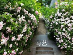 -老门东历史文化街区