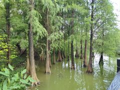-海珠湖公园