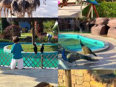 -福州罗源湾海洋世界旅游区