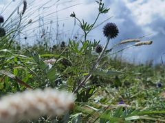 -白草畔自然风景区