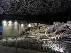 -世界恐龙谷景区