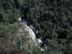 -海南热带雨林国家公园吊罗山景区