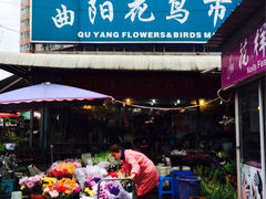 iphone_upload_pic-曲阳花鸟市场(曲阳路店)