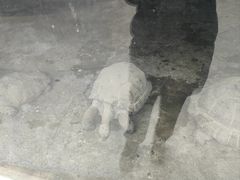 -杭州少年儿童公园