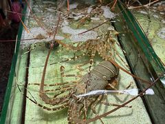 -班赞海鲜市场
