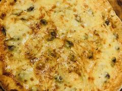 -百好乐宠物友好餐厅(朝外大街店)