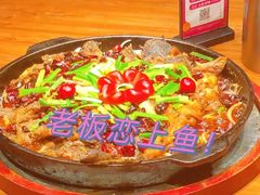 -老板恋上鱼(恒隆广场店)