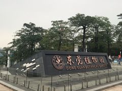 -东莞植物园