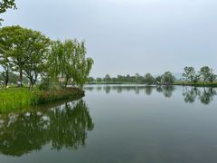 -良渚古城遗址公园