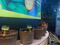 -花菇朵·云山雀 ll 野生菌火锅·精品云南菜(万柳店)