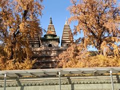 -北京石刻艺术博物馆(五塔寺)