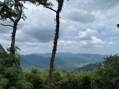 -莫干山风景区