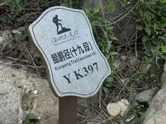 -西涌国际滨海旅游区