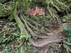 -青城山