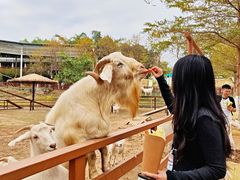 -盈香心动乐园