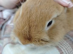 -东北菜冰城一家人