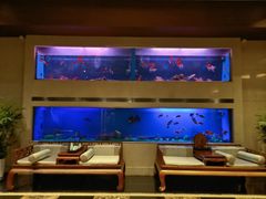 -深圳威尼斯英迪格酒店-邻芙花廊下午茶·NINFA GALLERY·蛋糕·咖啡
