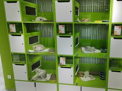 -唐小姐の猫狗洗护·购宠旗舰店(周浦万达店)