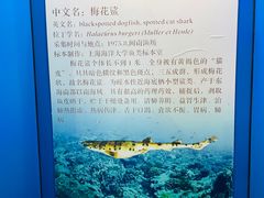 -上海海洋大学鱼文化博物馆(军工路校区)
