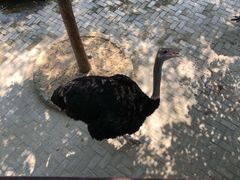 -武汉紫薇都市田园