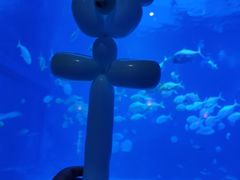 -烟台海昌鲸鲨海洋公园