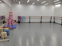 -中央芭蕾舞团·中芭艺蕾(酒仙桥明星校区)