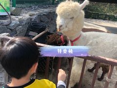 -西部长青自然儿童乐园