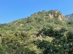 -大岭沟猕猴桃谷风景区